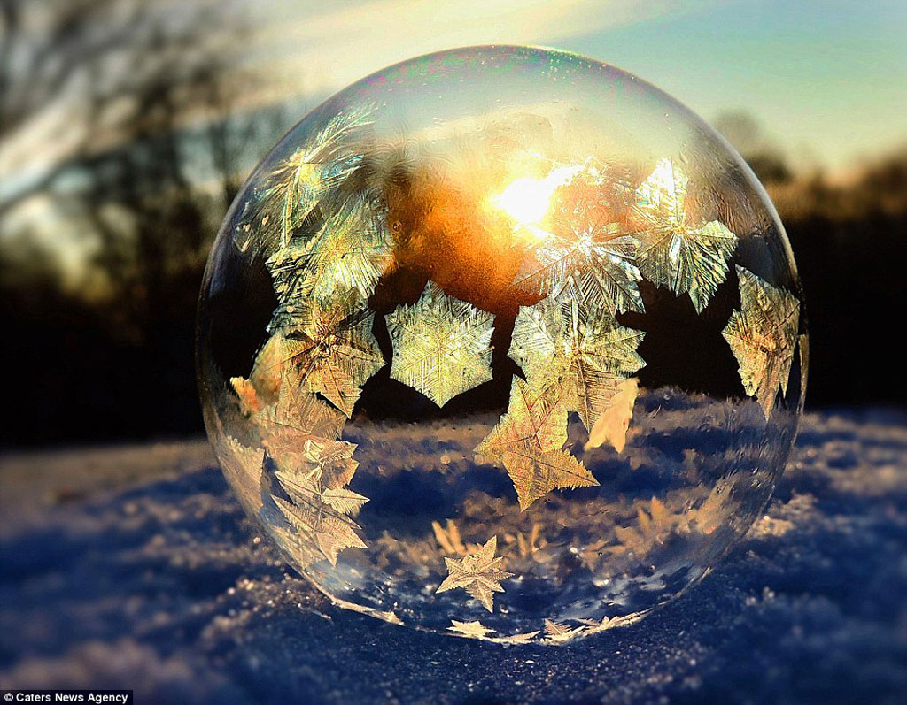 Nhiếp ảnh gia 49 tuổi nói: "Tôi đã thấy hình ảnh của những bong bóng đóng băng này trên mạng từ năm trước. Với tư cách là một nhiếp anh giả yêu vẻ đẹp của những loài hoa, điều này đã tạo nên cảm hứng sáng tạo cho tôi trong mùa đông."