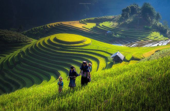 Sững sờ trước những ruộng bậc thang đẹp nhất trên khắp thế giới