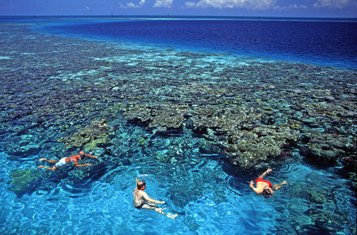 Unesco đã công nhận Rạng San hô Belize Barrier của Belize là Di sản thiên nhiên thế giới năm 1996.